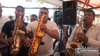 🔴BOMBA SAXOFOANELOR DE AUR 2021🎷FAMILIA ANTONIE- UZINELE DE LA MEHEDINTI🏆IONEL DE LA CETATE SI COPII