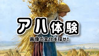 【アハ体験】《変化は2ヵ所》画像の変化を探そう！【脳トレ＆クイズ】aha