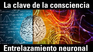 Entrelazamiento cuántico-neuronal