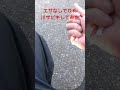 超簡単！！エサなしで釣れる！川で小物用サビキで小魚釣りしてみた！ shorts fishing 小魚釣り 神崎川 エサ釣り