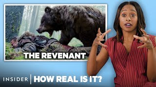 Bear Expert Rates 9 Bear Attacks In Movies And TV | How Real Is It? | Insider