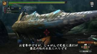 MH3G HD ver 村9緊急 双界の覇者 ペンギン砲