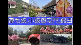 [香港好去處] 人狗好去處 | 親子好去處| YAHO MALL櫻花限定小青森 + 毛孩園林區| 狗狗友善餐廳| 錦田跳蚤市場| 紅磚屋跳蚤市場| 綠盈坊| 壁畫村| 我不想努力了霸氣火鍋 - 卜卜蜆