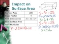 D4 Dimensional Change on Surface Area