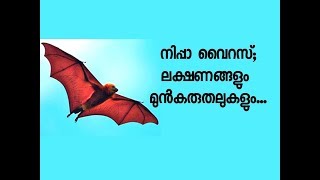 നിപ്പാ വൈറസ്‌ ; ലക്ഷണങ്ങളും മുന്‍കരുതലുകളും ./Malayalam Health tips