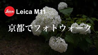 【京都八坂神社】ライカストアでM11購入後早速撮りに行ったら雨が…始まりはいつも雨【LeicaM11】 #leicam11 #ライカ #京都