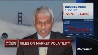 With this volatility, we adjust our positions every day: Dan Niles