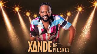 Xande de pilares Completo - Só As Melhores Xande de pilares - Pagode do Xande de pilares Pagode 2022