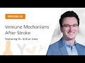 Immune Mechanisms After Stroke featuring Dr. Arthur Liesz | The Immunology Podcast