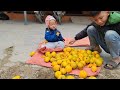 the boy and his sister went to pick fruit to sell and earn money for their mother at the hospital.