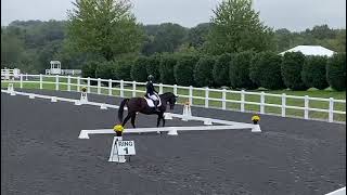 Jaguar Rosette WG Loch Moy Farm Novice Test A 10-4-24