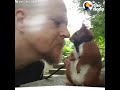 squirrel who falls from roof finds dad who won t give up on him tintin the dodo