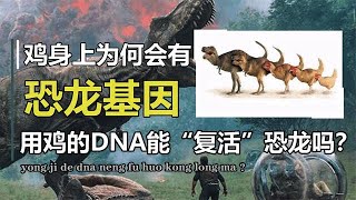 鸡是霸王龙的后代？科学家用鸡的DNA复活恐龙，真的能实现吗？【万物知识局】