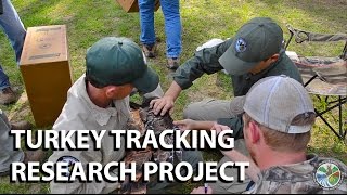 MDWFP Turkey Tracking Research Project