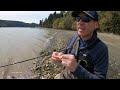 fishing the sage r8 for spring sea run cutthroat in puget sound