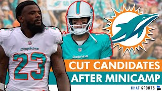 Miami Dolphins Cut Candidates After Minicamp Ft. Mike White, Braylon Sanders & J