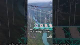 The World's Tallest Bridge?