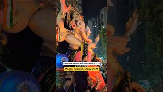 Maghi Ganesh jayanti 2025 🤩 | maghi Ganesh utsav 2025 | Kalyancha Maharaja 2025 #maghiganeshutsav