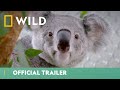 Secrets Of The Zoo Is Back! | Official Trailer | National Geographic Wild UK