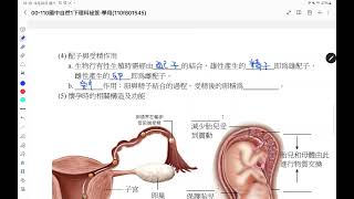 生物複習1-3有性生殖