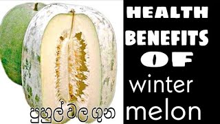 7 Amazing Health Benefits of Winter Melon /පුහුල් වල විශ්මිත ගුන