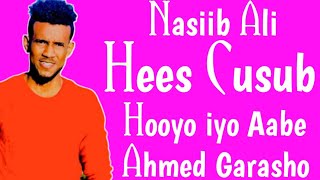 NASIIB ALI Hees Cusub Hooyo Iyo Aabe music official 2020