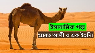 ইসলামিক গল্প। হয়রত আলী ও এক ইহুদি।  Islamic story.