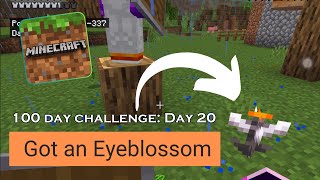 Day 20 - Traded for an Eyeblossom (Minecraft Family Survival Easy)