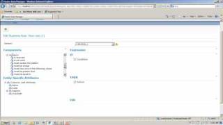 SQL Server 2008 R2: Master Data Services Business Rules
