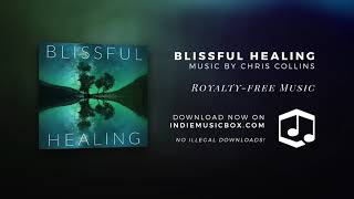 Blissful Healing - Binaural Beats / Delta Waves / Meditation Music (Royalty-Free Music)