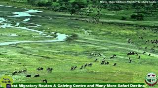 Ngorongoro Crater