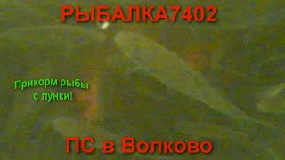 Что происходит под водой, если прикормить лунку сверху?