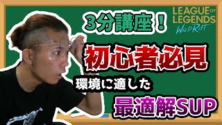 【ワイルドリフト】【3分講座】初心者必見！メタに適した最強サポート