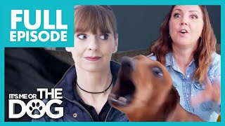 Furious Dachshund Goes Crazy When Owners Leave! | Full Episode