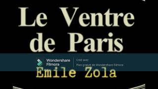 5. Le ventre de Paris, Emile Zola, livre audio, partie 5 sur 6