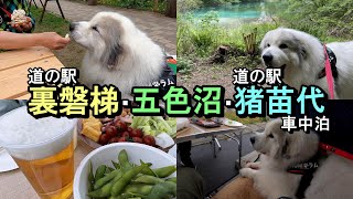 【GPラム】裏磐梯～五色沼～猪苗代【大型犬と車中泊】