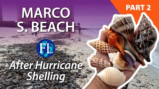 Pt. 2 Storm Shelling Marco South Beach Post Hurricane Milton