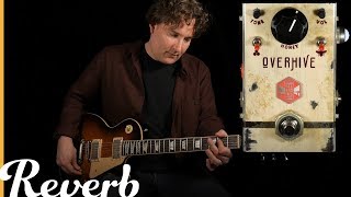 Beetronics Overhive Medium Gain Overdrive | Reverb Demo