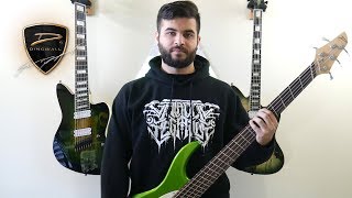 Dingwall Bass Guitars (Combustion Tone Demo \u0026 Endorsement Announcement)