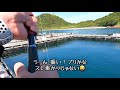 【海上釣堀】カンパチ ラインも心もテンション抜くな！in釣堀紀州