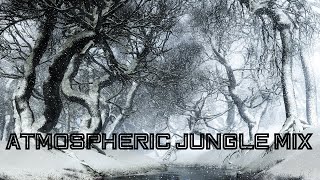 Atmospheric Jungle DJ Mix 021 | Winter Dreamscapes DNB Vibes: 2024 ❄️✨