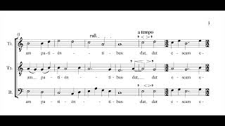 Lauda anima mea...Qui Custodi Veritatem  |  2020  |  Plainchant \u0026 TTB a cappella  (SCORE)