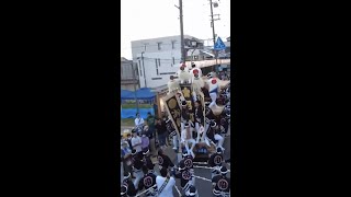 The Insane Parade in Japan You Must See | LX News