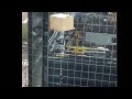 CAUGHT ON CAMERA: Toronto construction worker hangs on for dear life