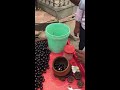 jamun fruit summer fruit in india.