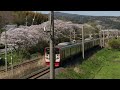 【4k】【桜と鉄道2023】jr九州日豊本線杵築駅‐中山香駅間 列車走行シーン集【桜並木】