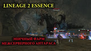 LINEAGE 2 ESSENCE - ПЕРВЫЙ МЕЖСЕРВЕРНЫЙ АНТАРАС