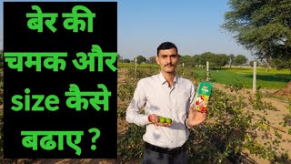 apple ber की चमक ओर size कैसे बढ़ाए #growth improve #apple ber growth #iffco#सागरिक#सिद्दरस#