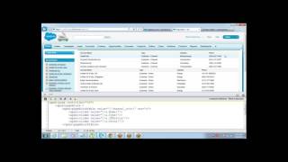 Apex Programming Tutorials | Examples of Custom Controllers