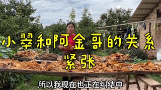 小翠跟阿金哥的关系越来越紧张，又是板栗成熟期，发生好多问题咋办